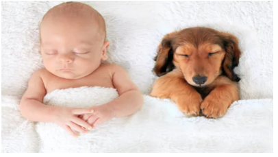 BEST FRIENDS - ADORABLE
