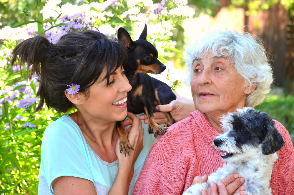 Celebrate National Dog Mom's Day May 13, 2023
