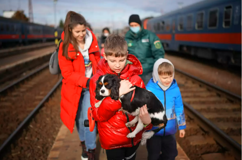 Ukraine Pets & Strays are also Feeling the Pressure of War