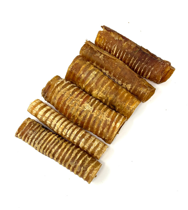 Clearance 6" Smoked Beef Trachea Tubes for Dogs - Loaded with Glucosamine and Chondroitin