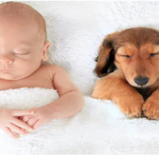 BEST FRIENDS - ADORABLE