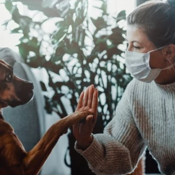 Can dogs get coronavirus?