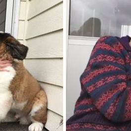 St Bernard and 95 year old neighbor