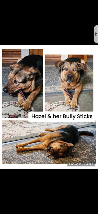 6-Inch Thick Charcuterie Style Bully Sticks - No odor-Farmed in the USA