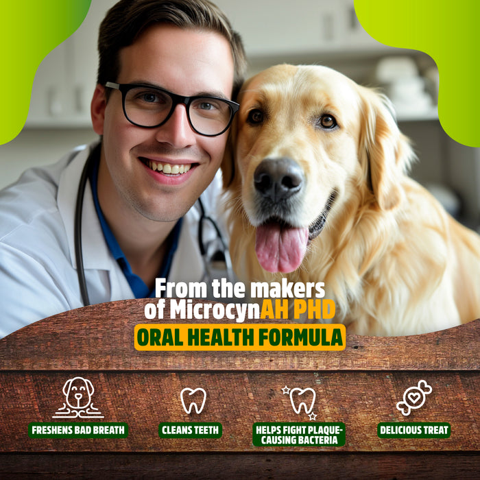 NEW Oral Health Formula Chews- MicrocynAH PHD