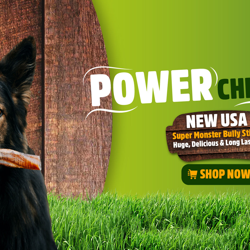 Lola and sancho bully sticks store