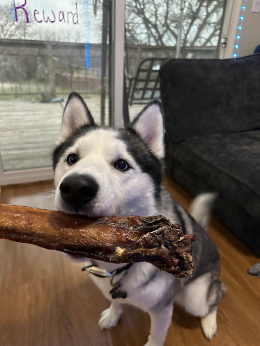 12"  Monster Meaty Bully Sticks -For Power Chewers- Our Thickest Bully Sticks-Buy Bulk & Save