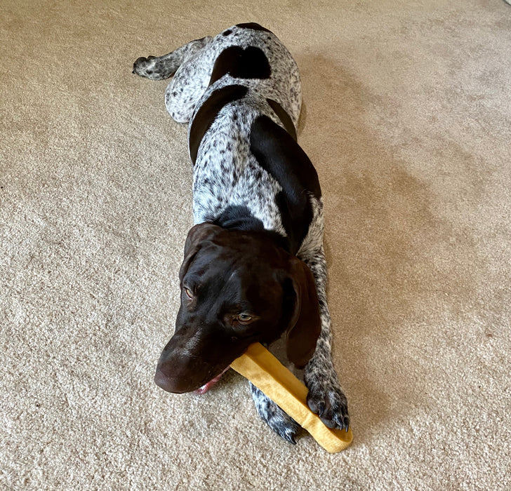 Tibetan Yak Chews-Small (under 15lb dogs)