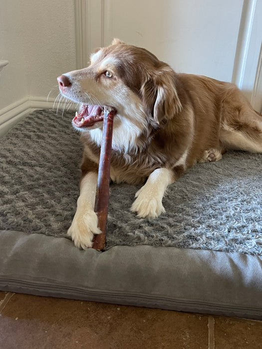Premium Select 12" Standard, Thick & Jumbo Bully Sticks