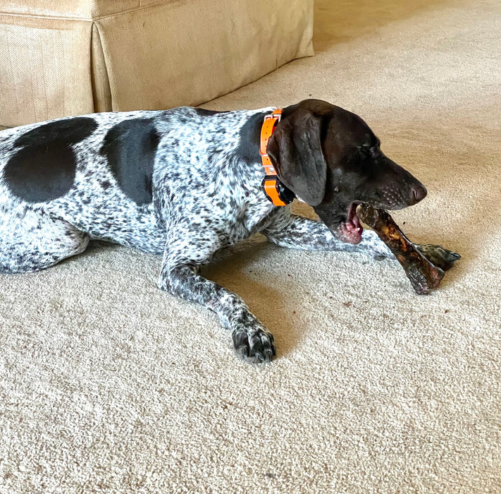 New USA Liver Coated Shin Bones for Power Chewers