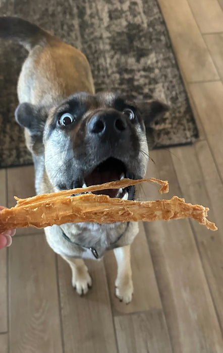 Single Ingredient USA Flat & Chewy-Turkey Tendon Strips