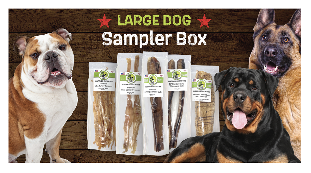 Large Dog Sampler Box