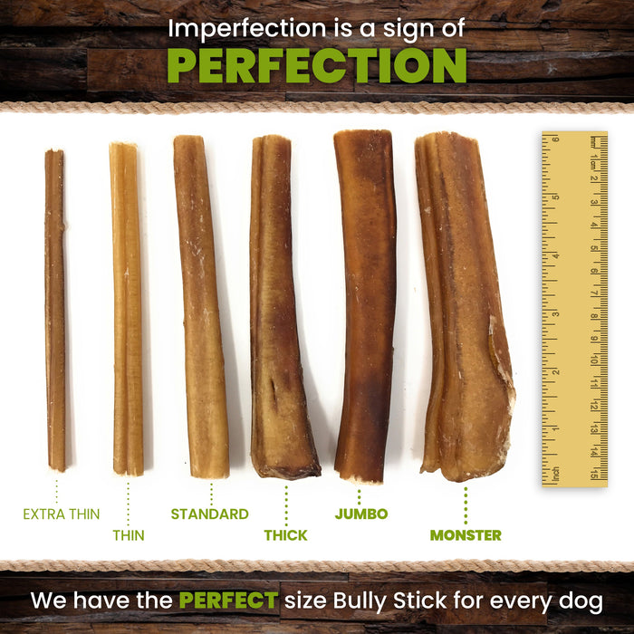 6-Inch Traditional Monster Sized Bully Sticks - Low Odor