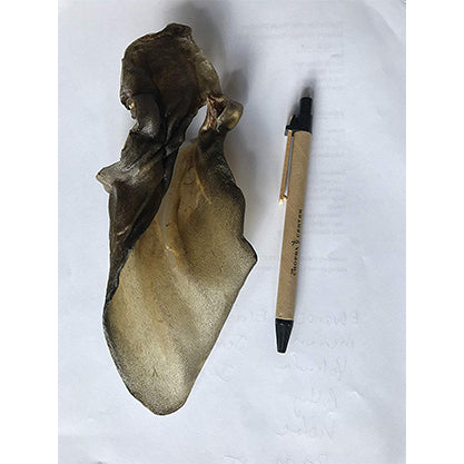 Roasted Natural Cow Ear Chews for Dogs Made in USA, Natural Source of Collagen