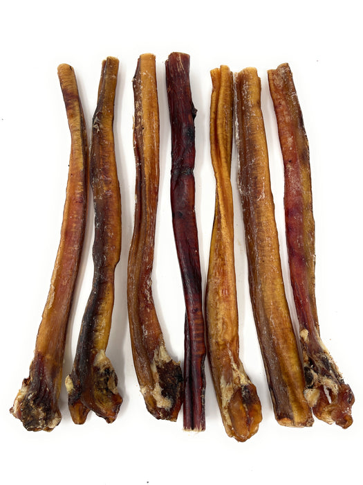 Clearance 12"  Standards  Fatty Ends Bully Sticks - Odor Free