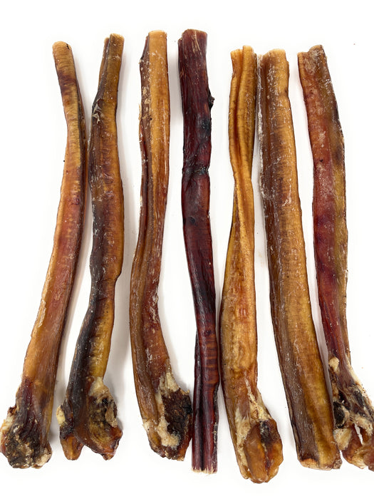 Clearance 12"  Standards  Fatty Ends Bully Sticks - Odor Free
