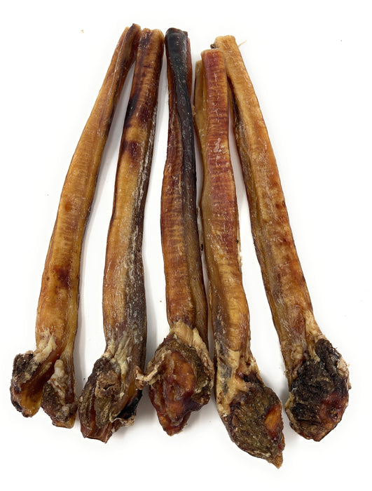 Clearance 12"  Jumbo Fatty Ends Bully Sticks - Odor Free