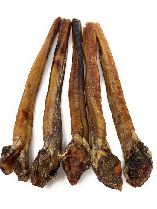 Clearance 12"  Jumbo Fatty Ends Bully Sticks - Odor Free